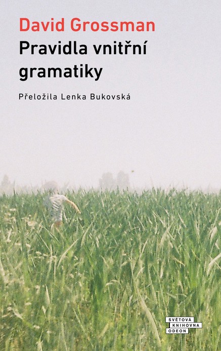 Pravidla vnitřní gramatiky