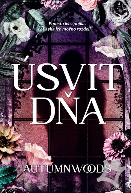 Úsvit dňa