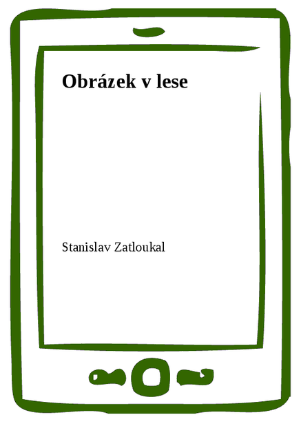 Obrázek v lese